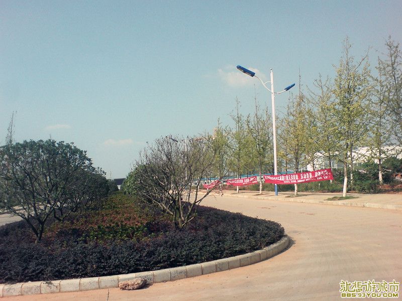 dsc01427_.jpg