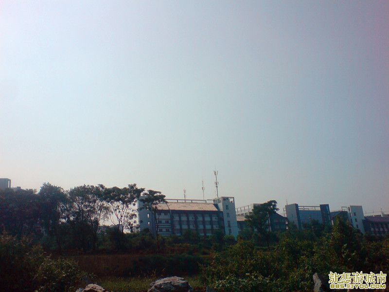 dsc01428_.jpg
