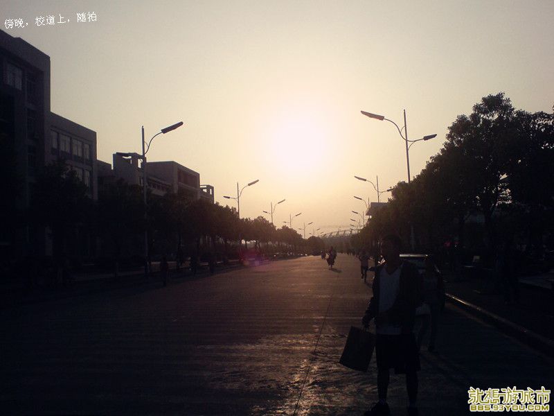 dsc01433_.jpg