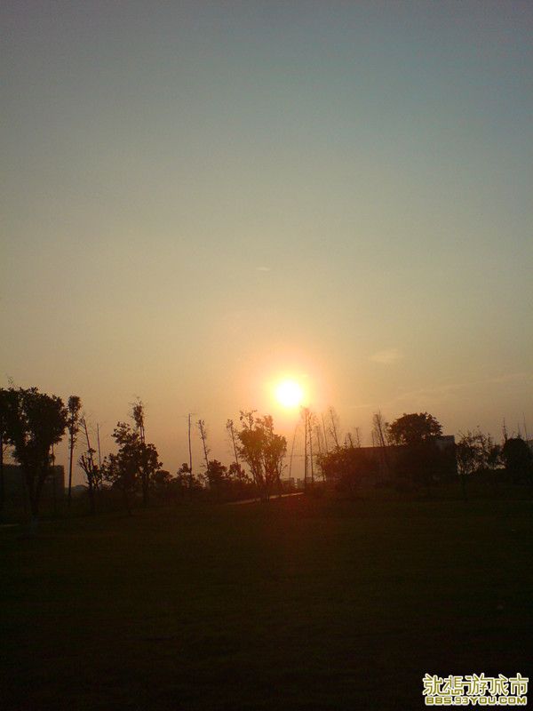 DSC01450_.jpg