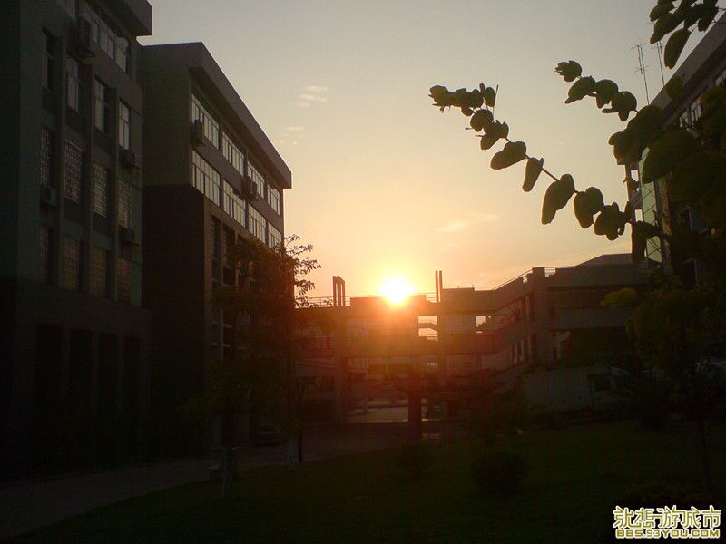 DSC01453_.jpg
