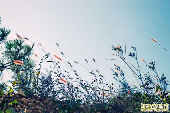 large_T9oa_499d0000f9bf1215.jpg