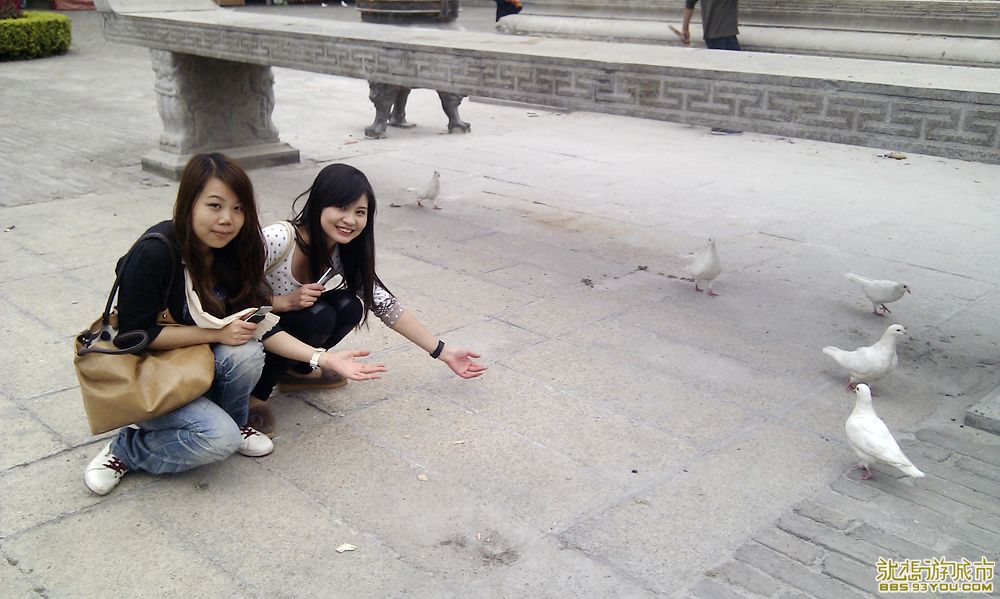 IMAG0322.jpg