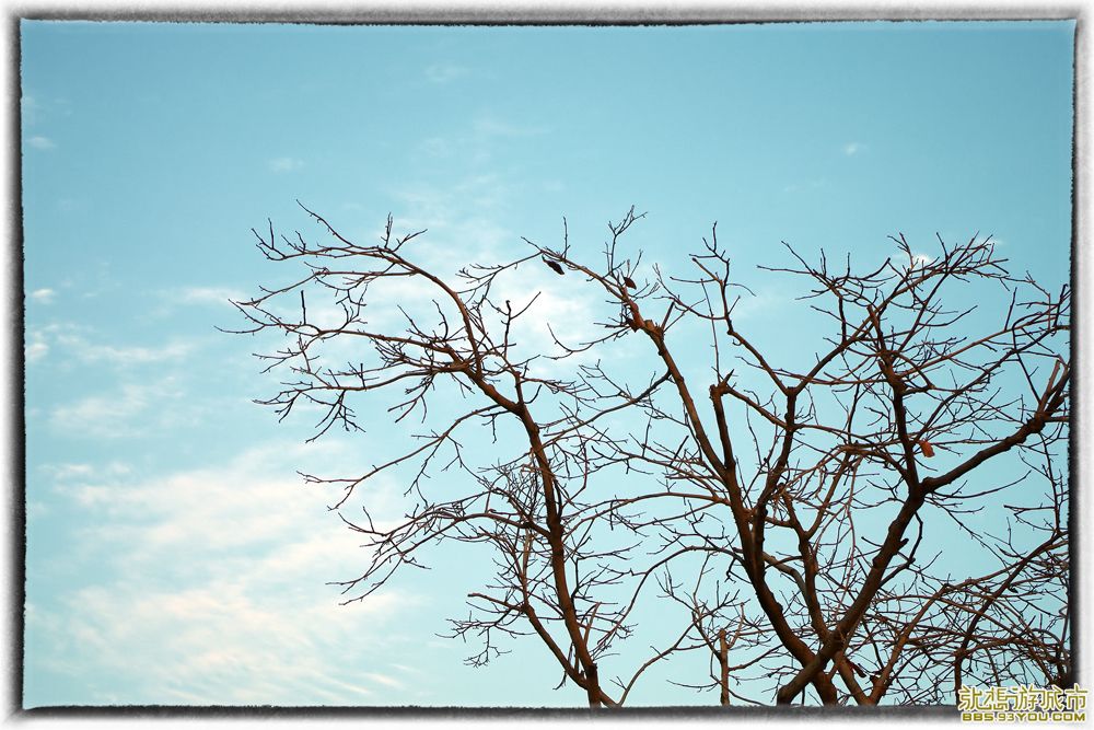 LSH_0020.jpg