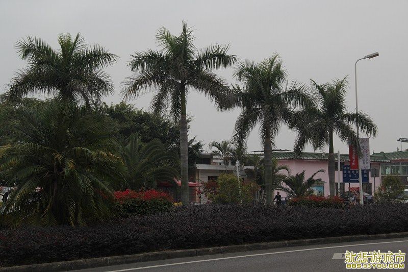 psbCA1MLAYW.jpg