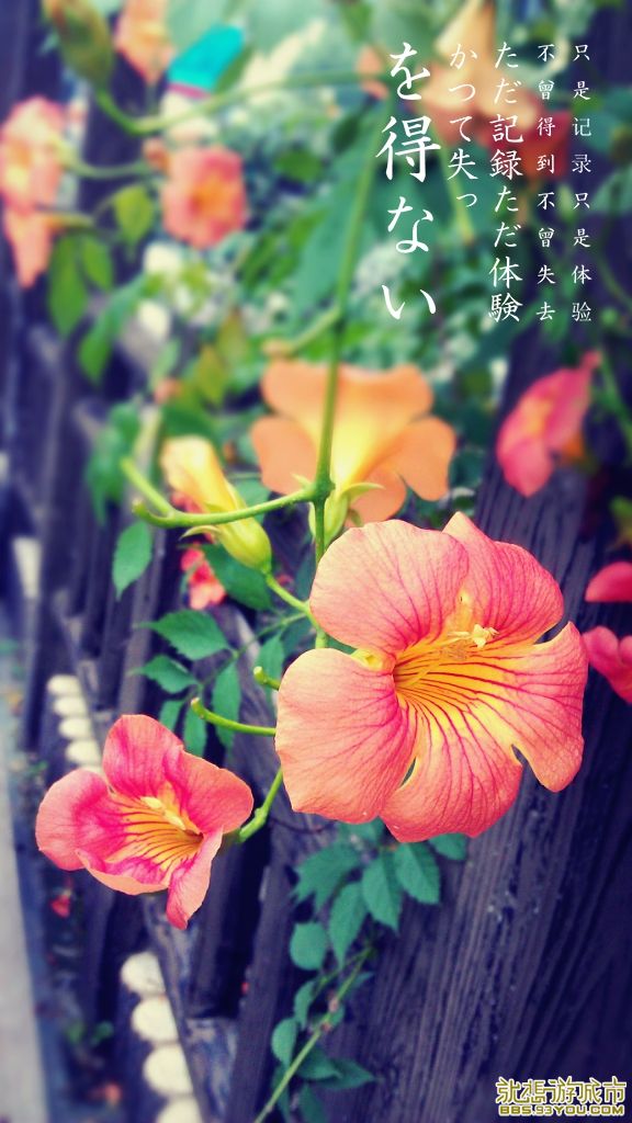 MA201307070112290024-05-37c100.jpg
