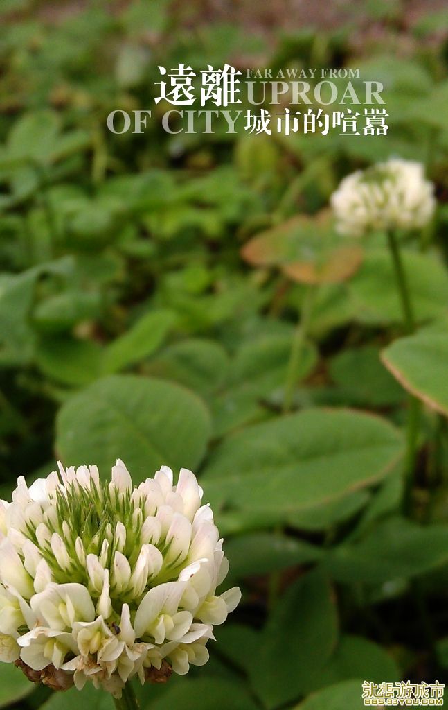 MA201306112128200010-00-007f00.jpg