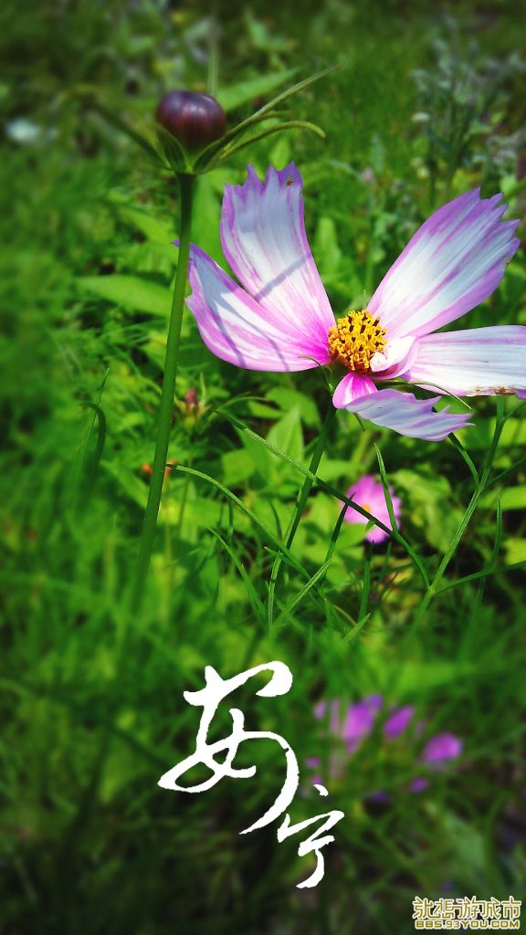MA201307070141520043-05-275b00.jpg