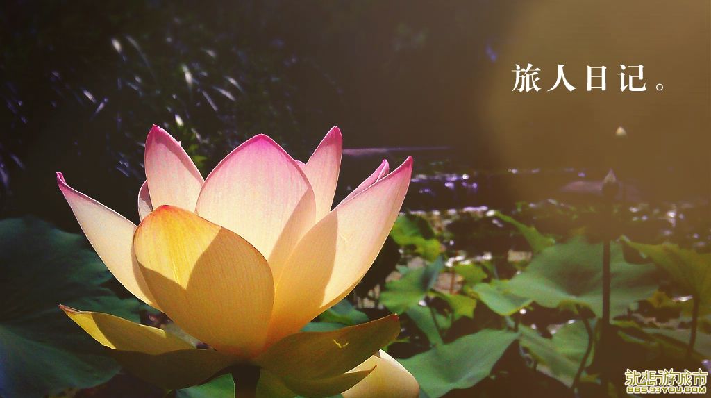 MA201307141532300049-04-354700.jpg