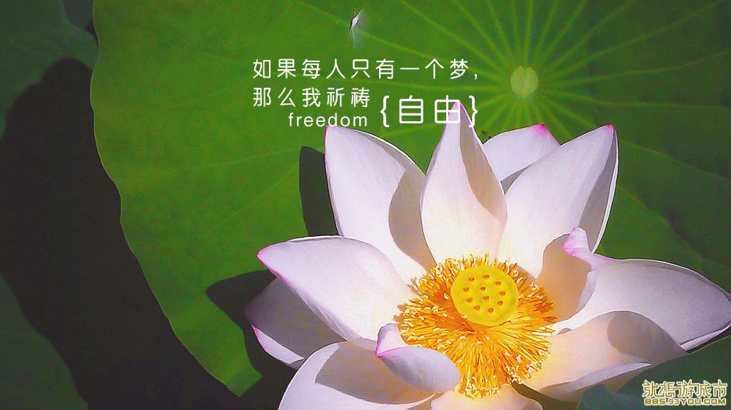 MA201307220028230098-04-154000.jpg