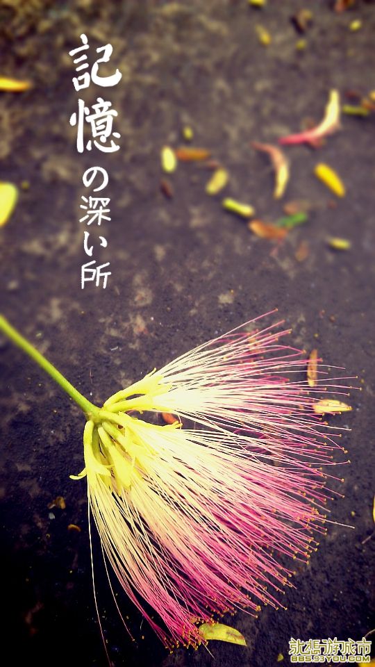 MA201308100956100028-05-15c000.jpg