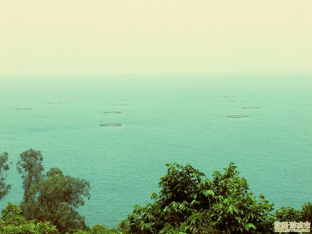 DSCF4080.JPG