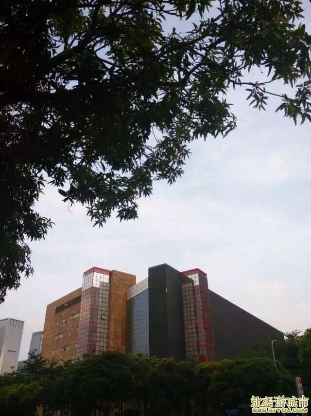 image.jpeg