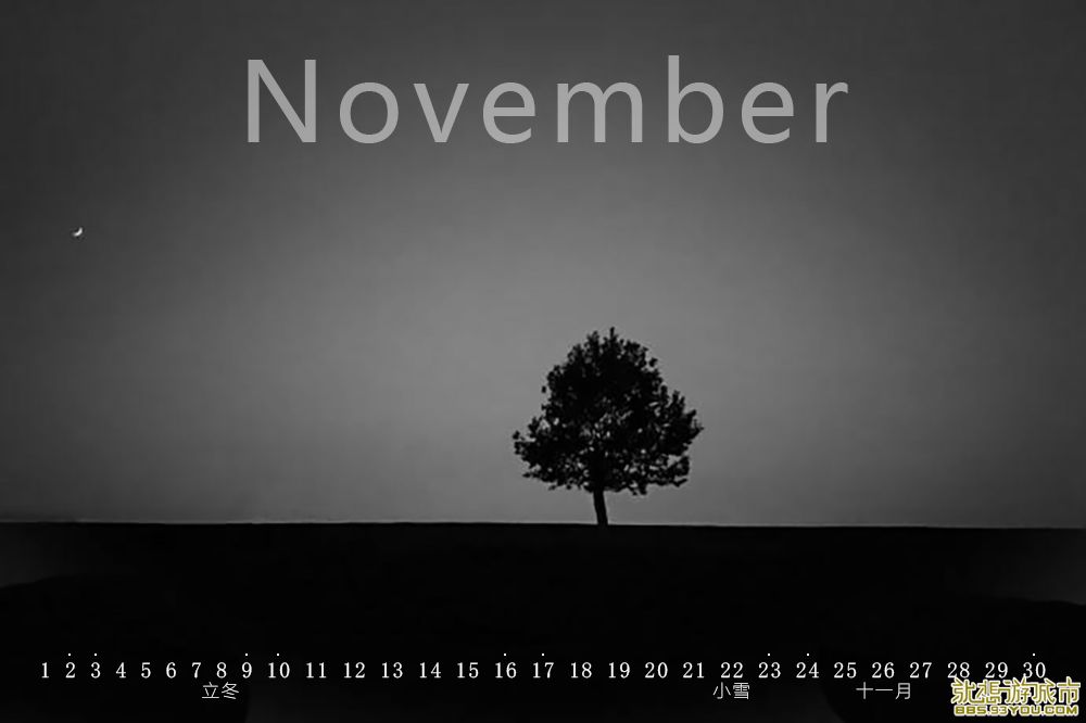 11-1.jpg