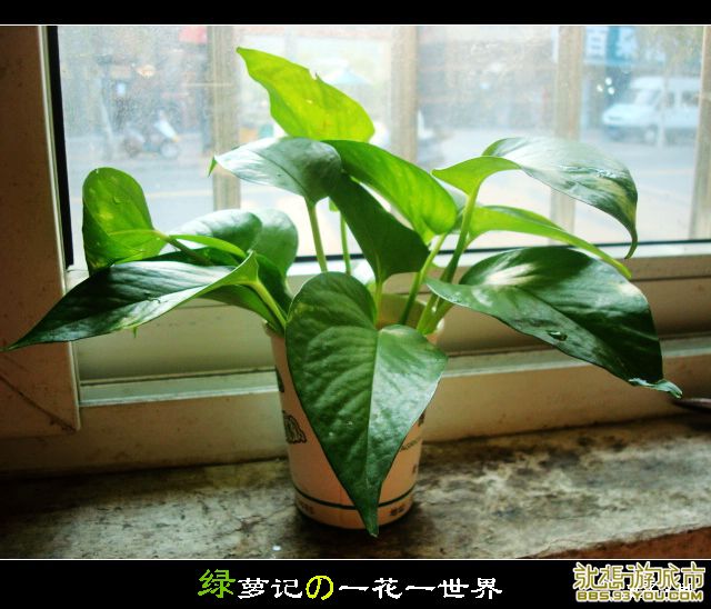 DSC02840.jpg
