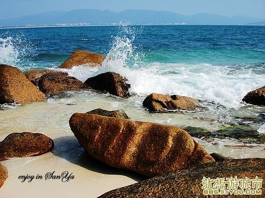 DSC00763_Ӱ_1.jpg