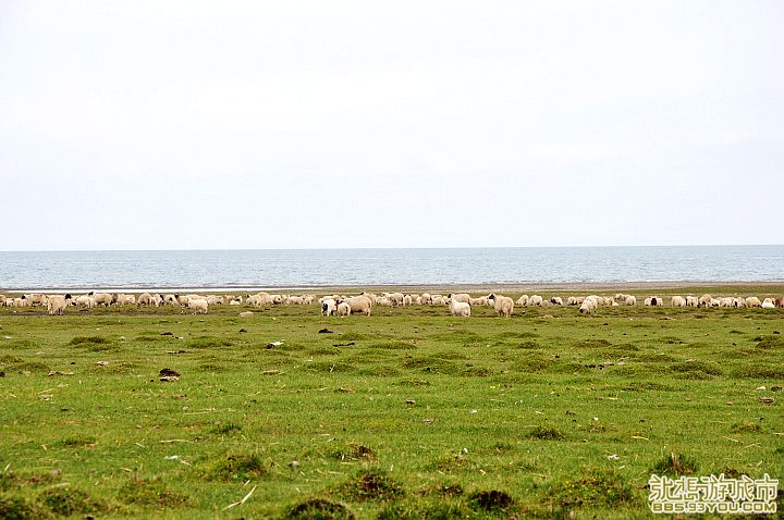 DSC_0108.jpg