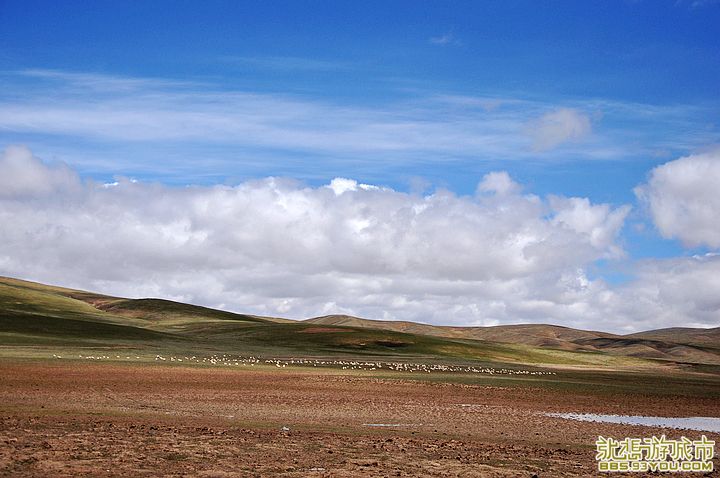 DSC_0357.jpg