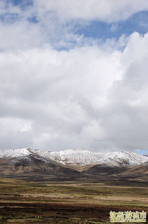 DSC_0430.jpg