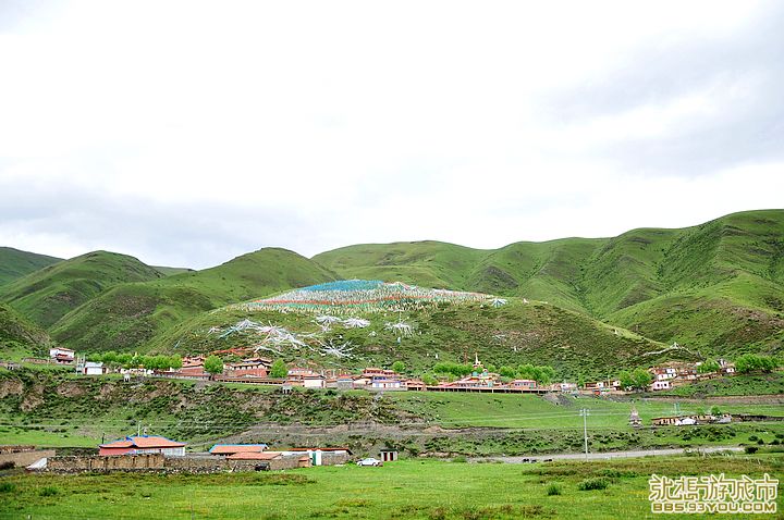 DSC_0440.jpg
