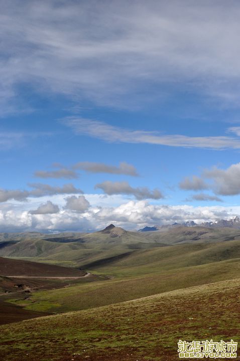 DSC_0485.jpg