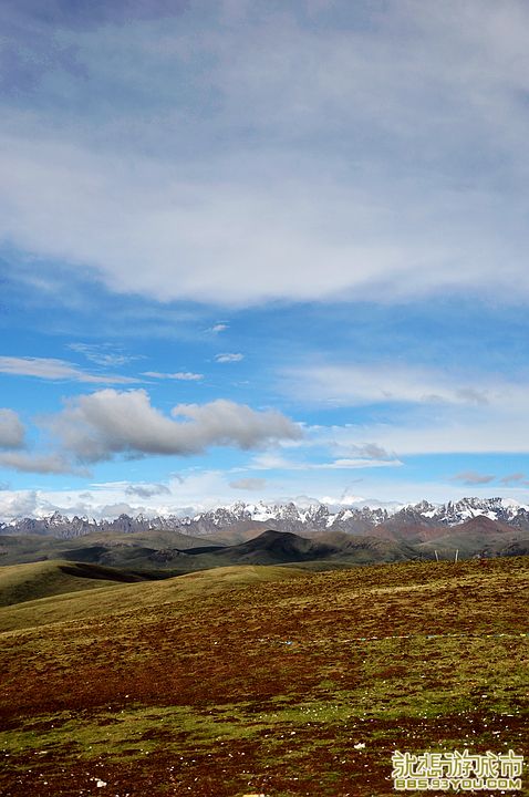 DSC_0491.jpg