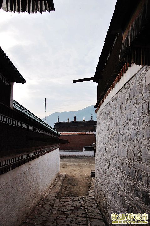 DSC_0862.jpg