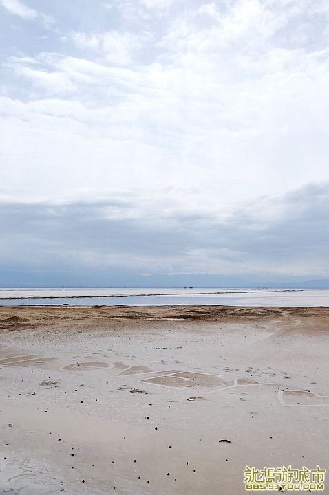 DSC_0141.jpg