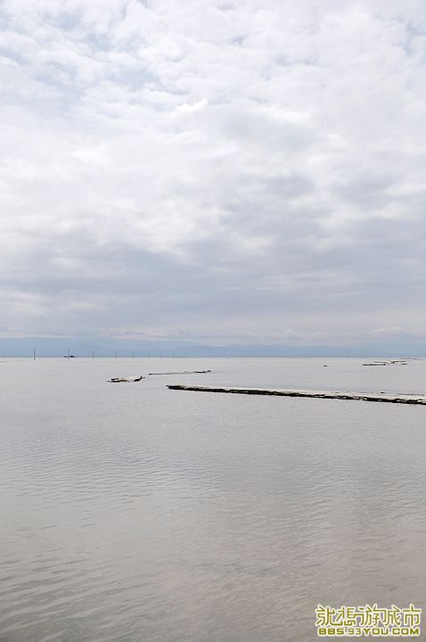 DSC_0132.jpg