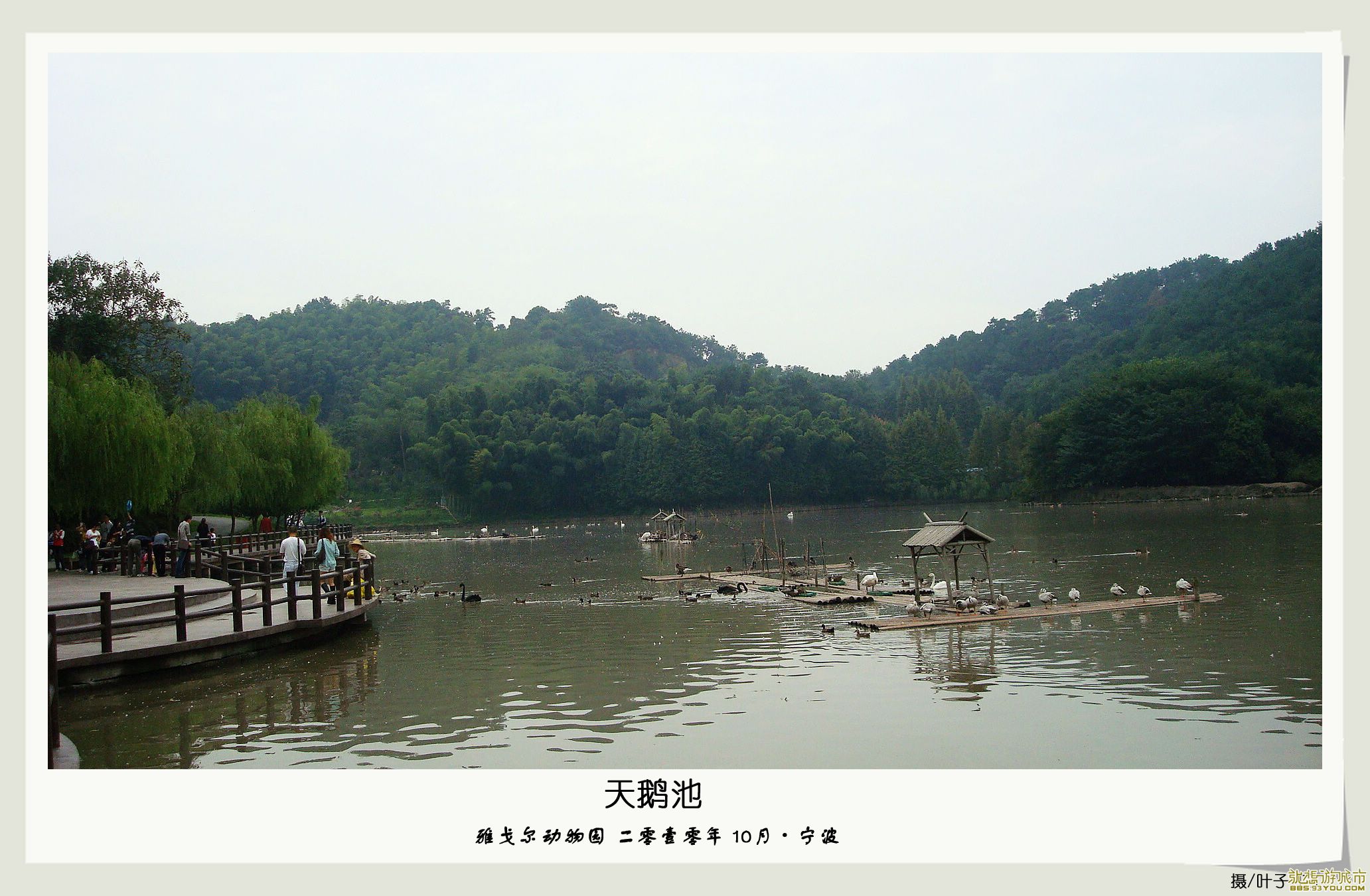 DSC04115.jpg