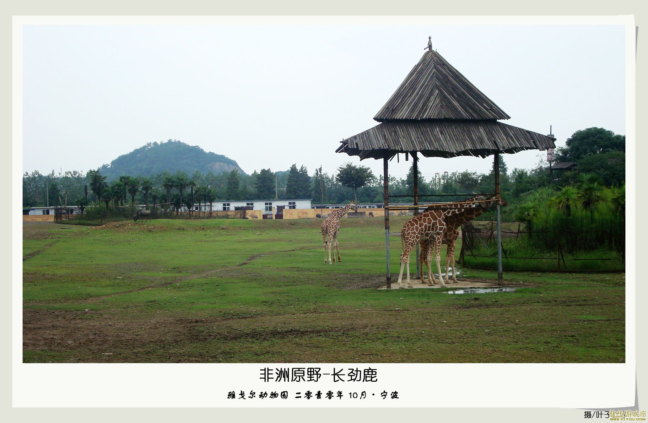 DSC04184.jpg