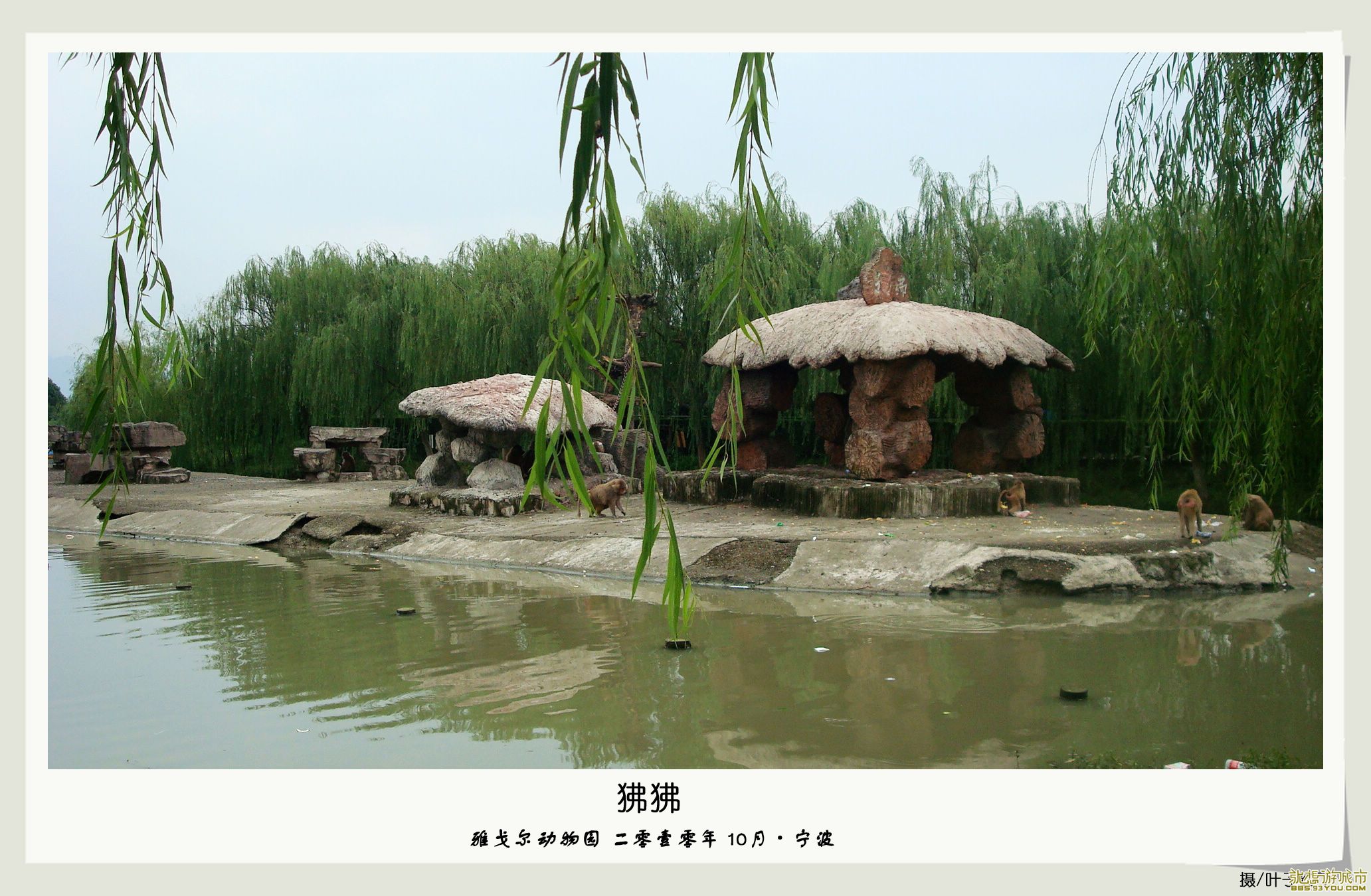 DSC04189.jpg