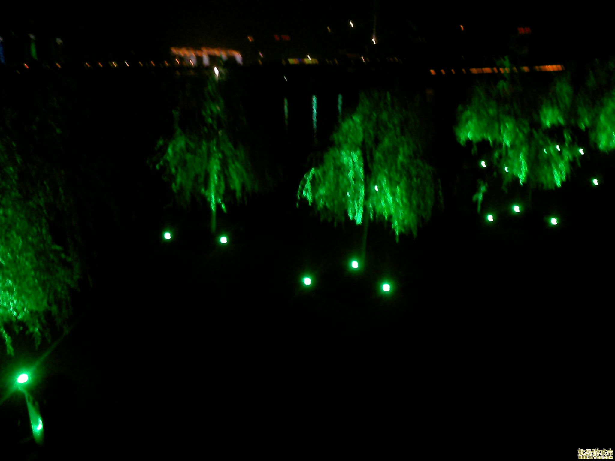 20101014.jpg