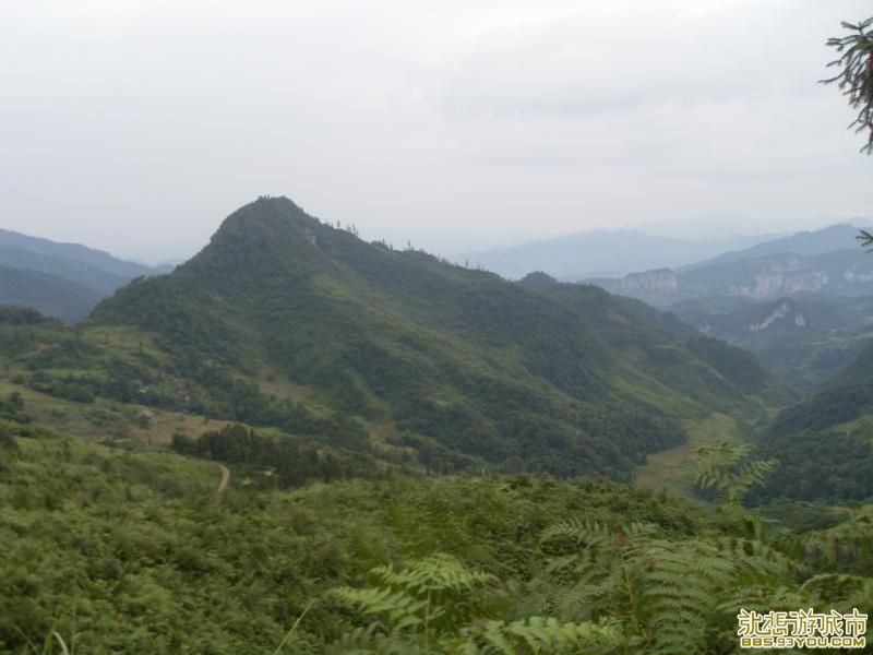 SDC14297.JPG