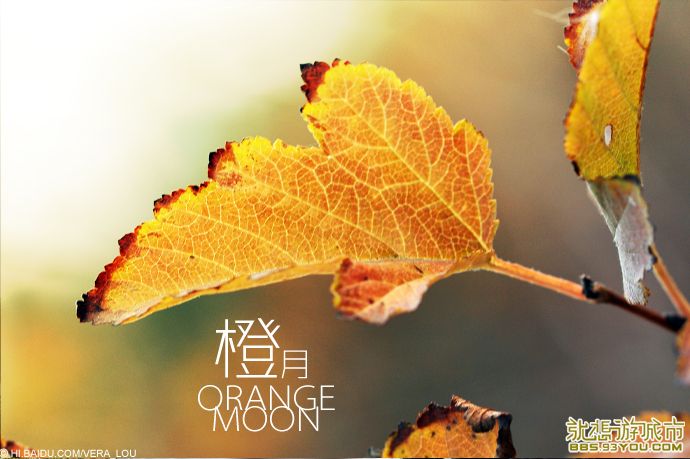 m_1291016124276.jpg