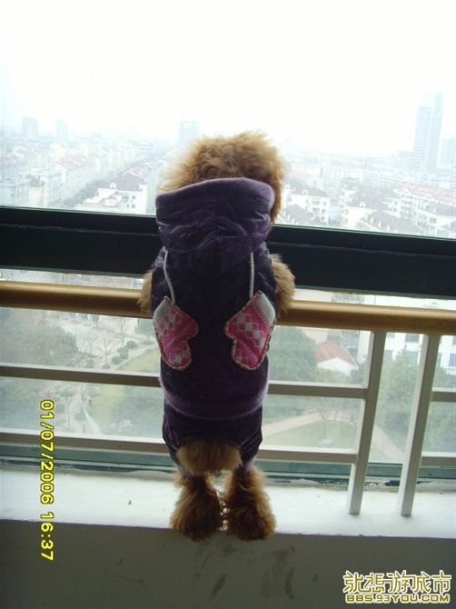 08.jpg