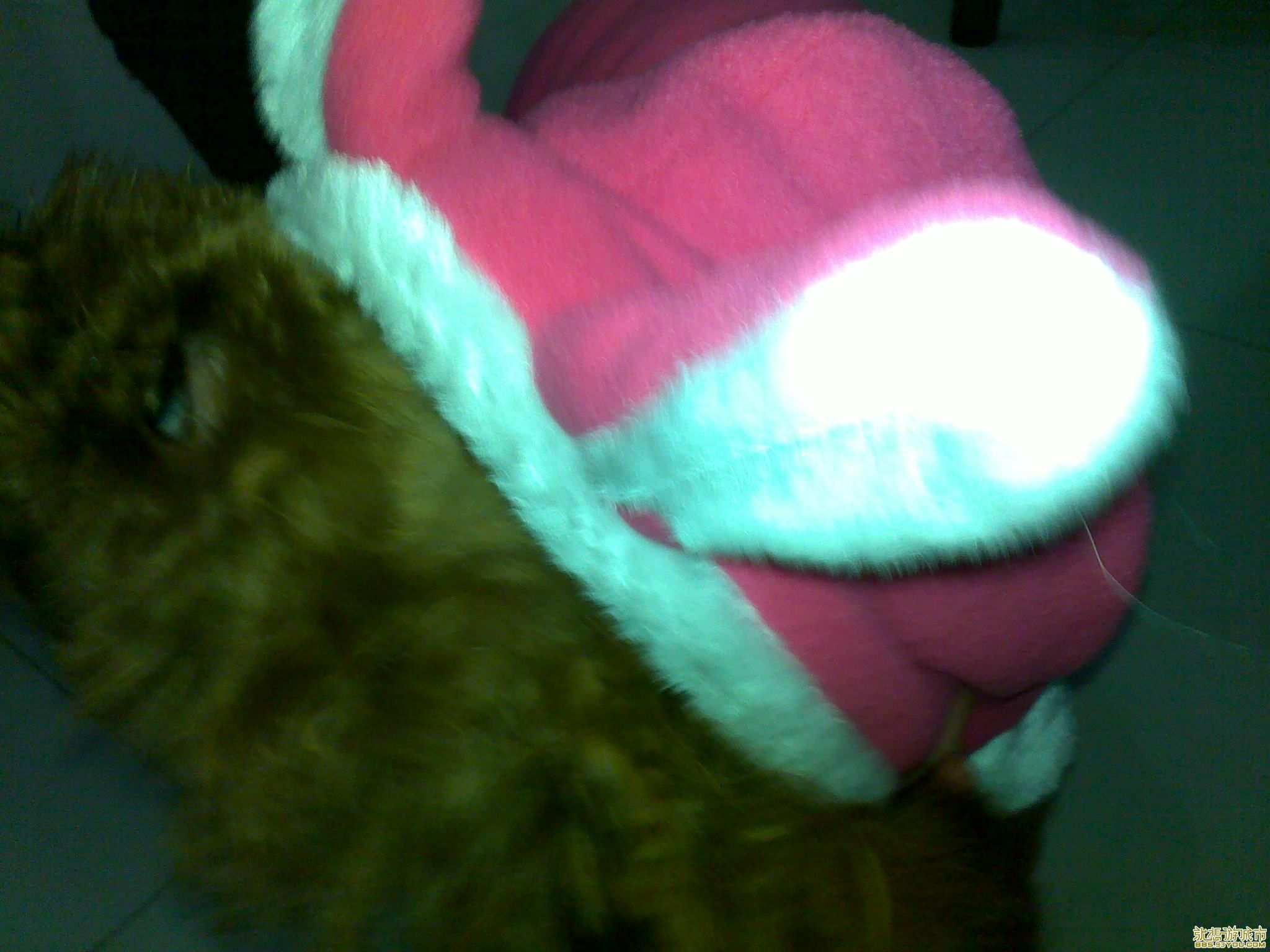 20101221382.jpg