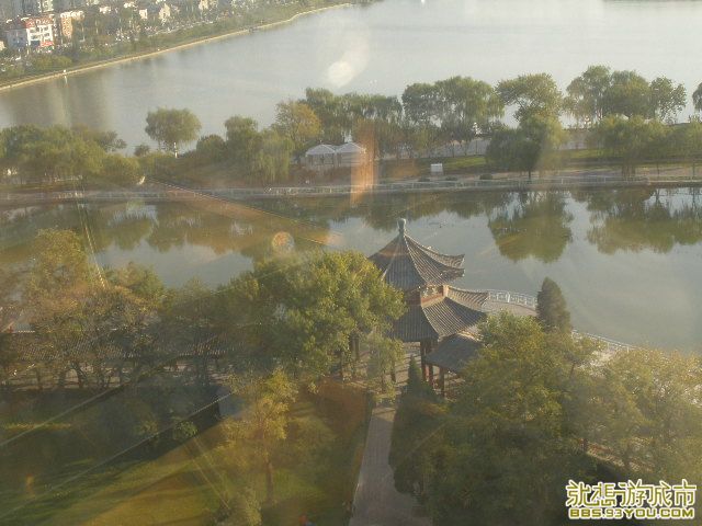 PA290108.JPG