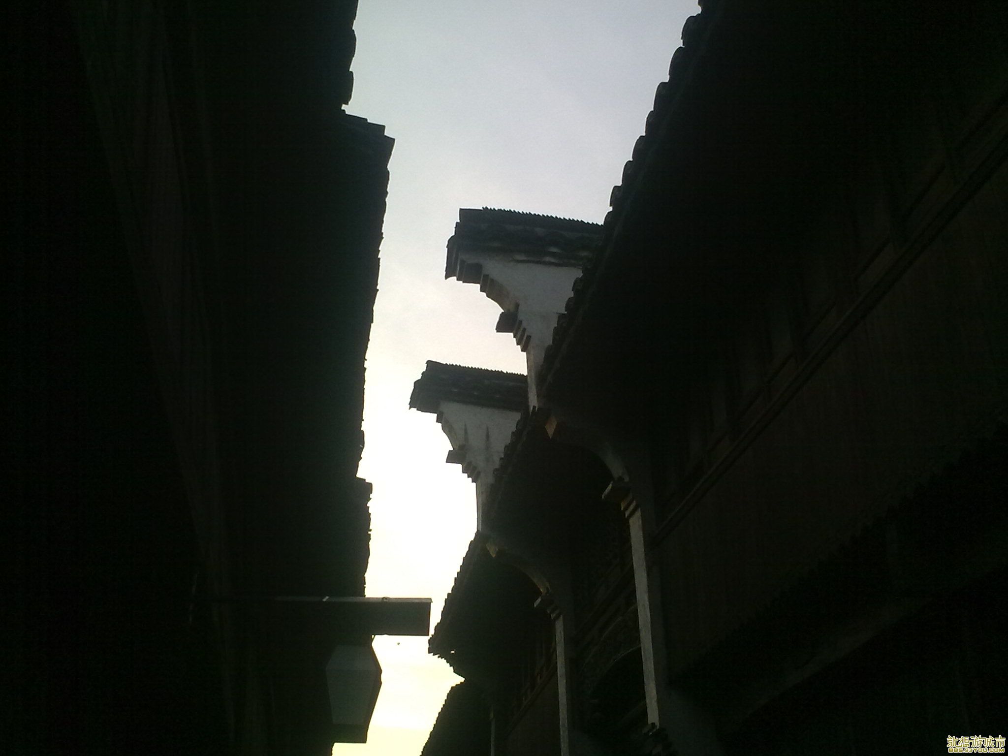 20100701188.jpg