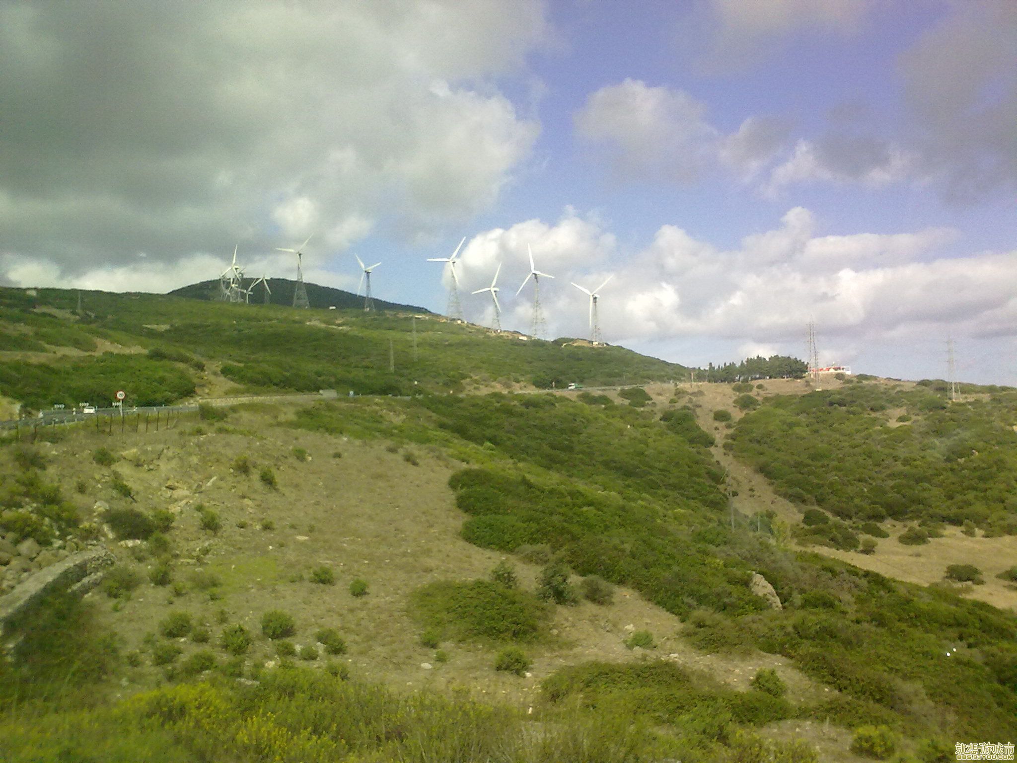 20101004322.jpg
