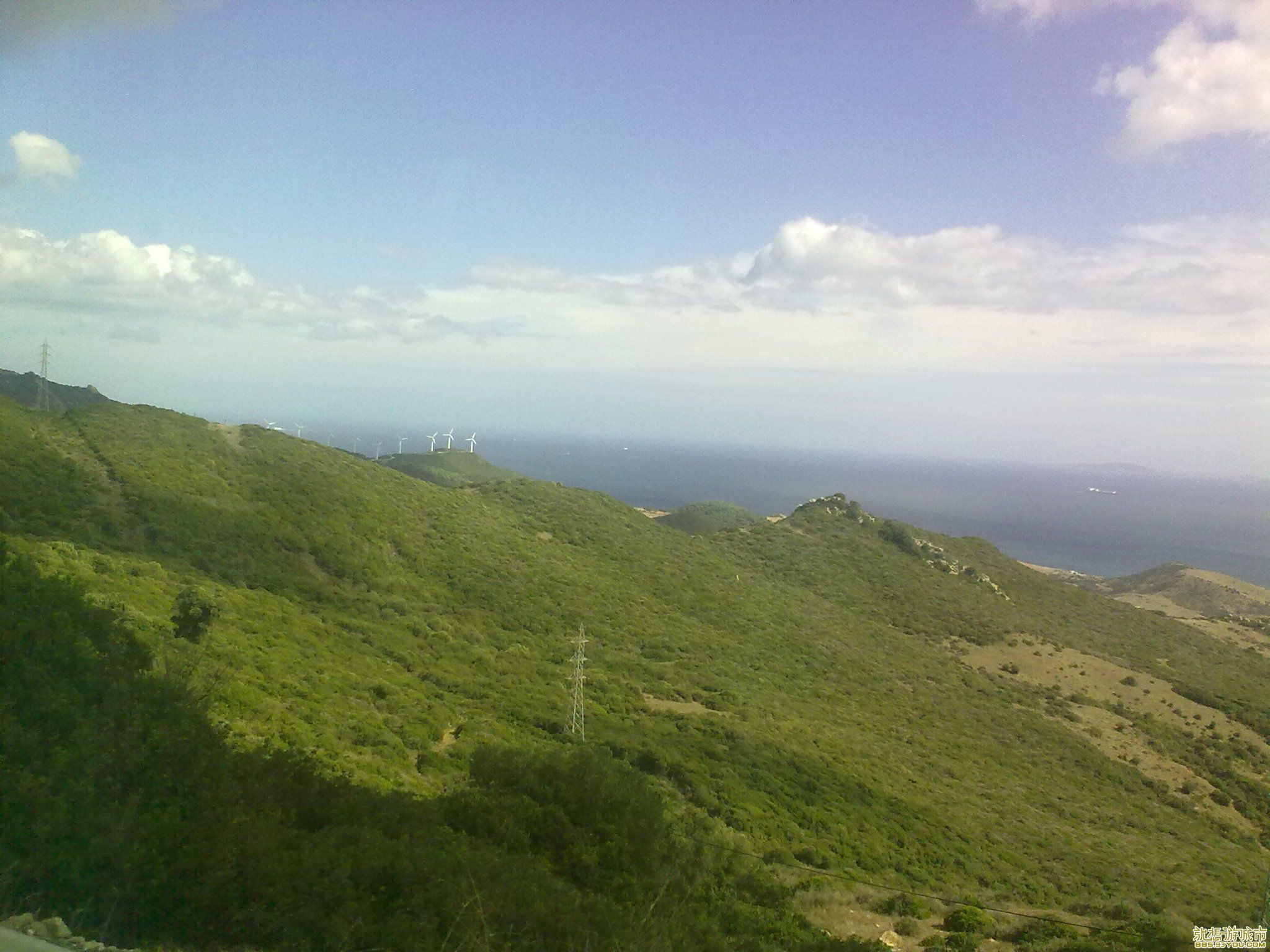 20101004323.jpg