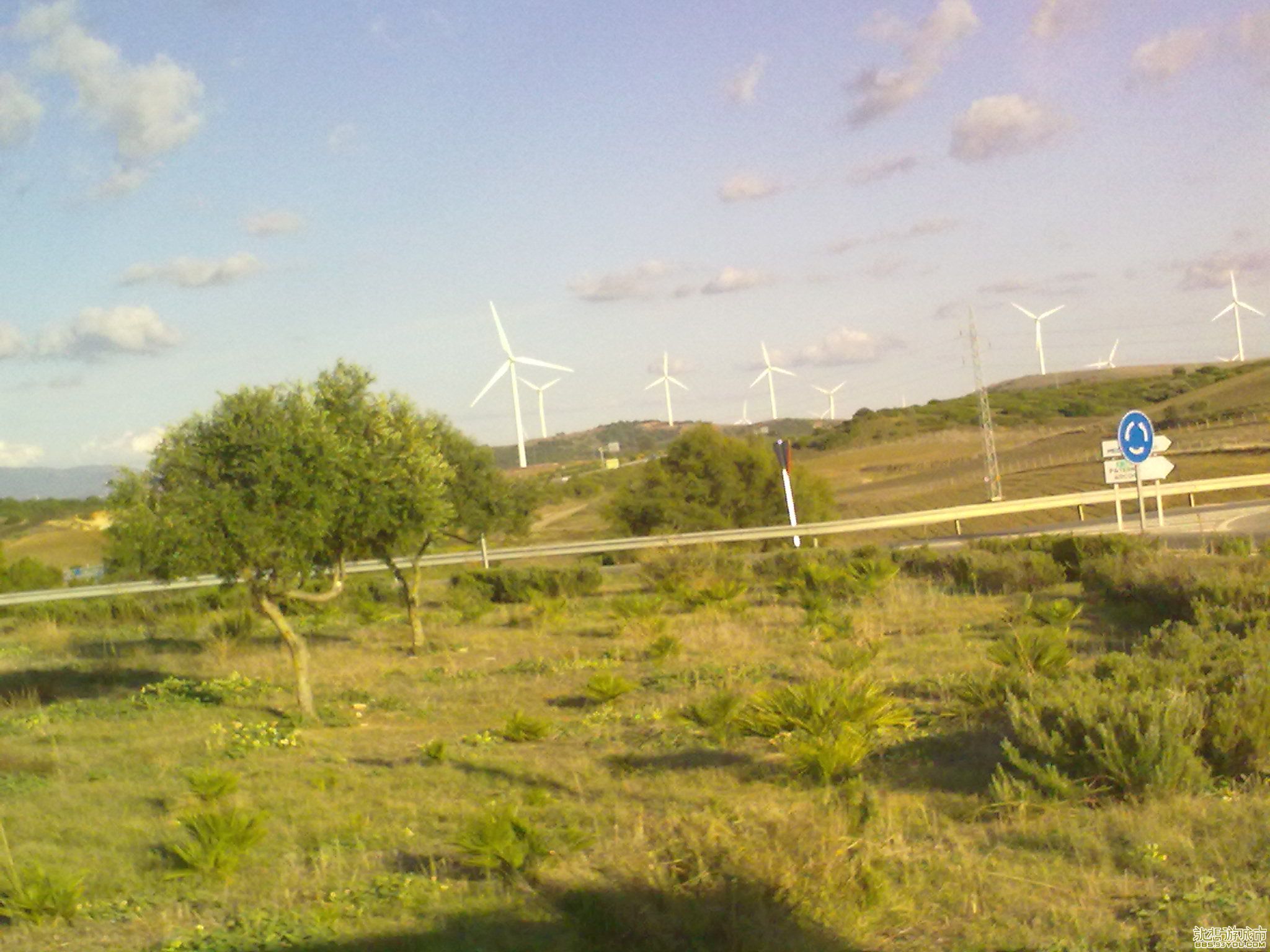 20101011342.jpg