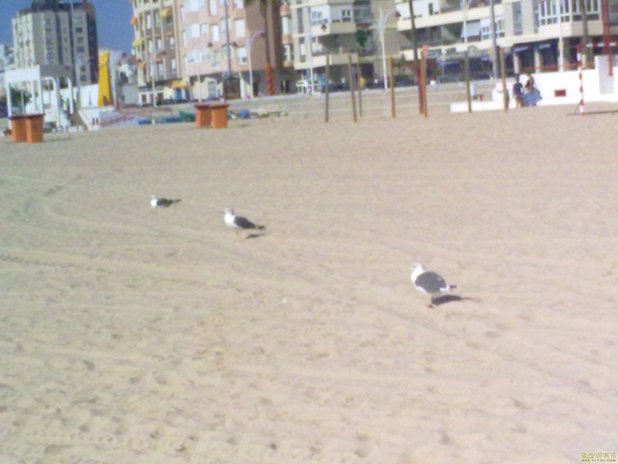 20100929283.jpg