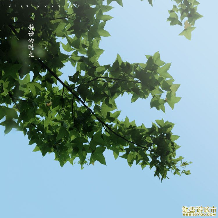 m_1298106231104.jpg