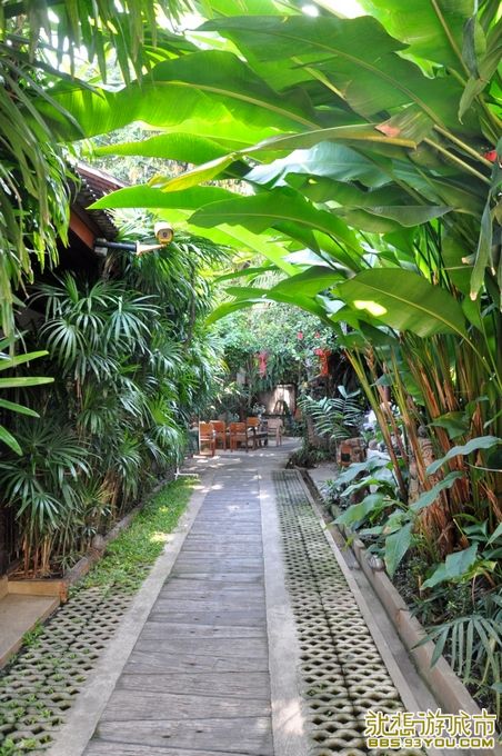 DSC_0016.jpg