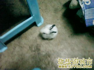 Ƭ-0475.jpg