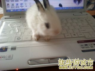 Сһòϲҵĵ˰