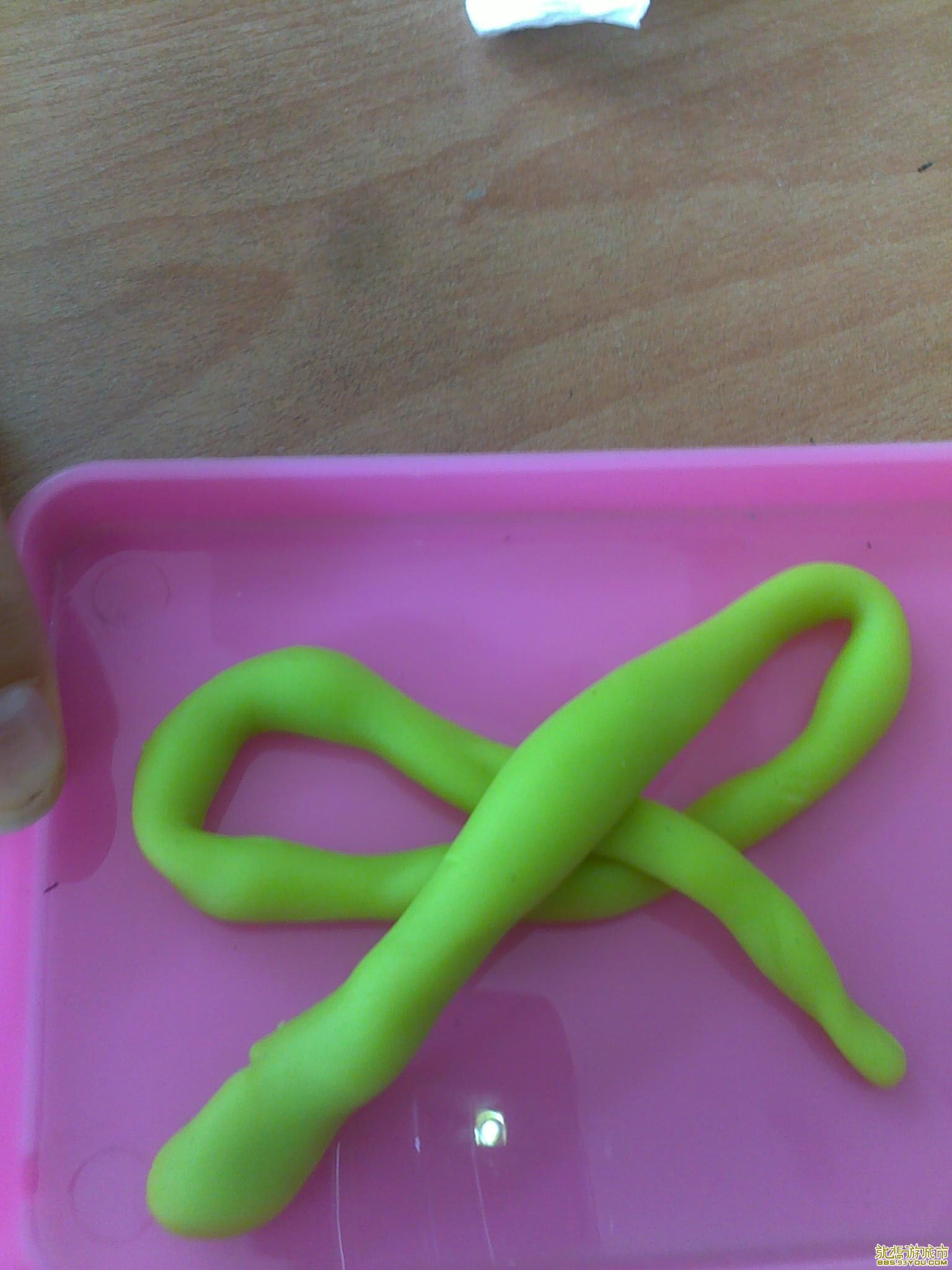  20110510893.jpg