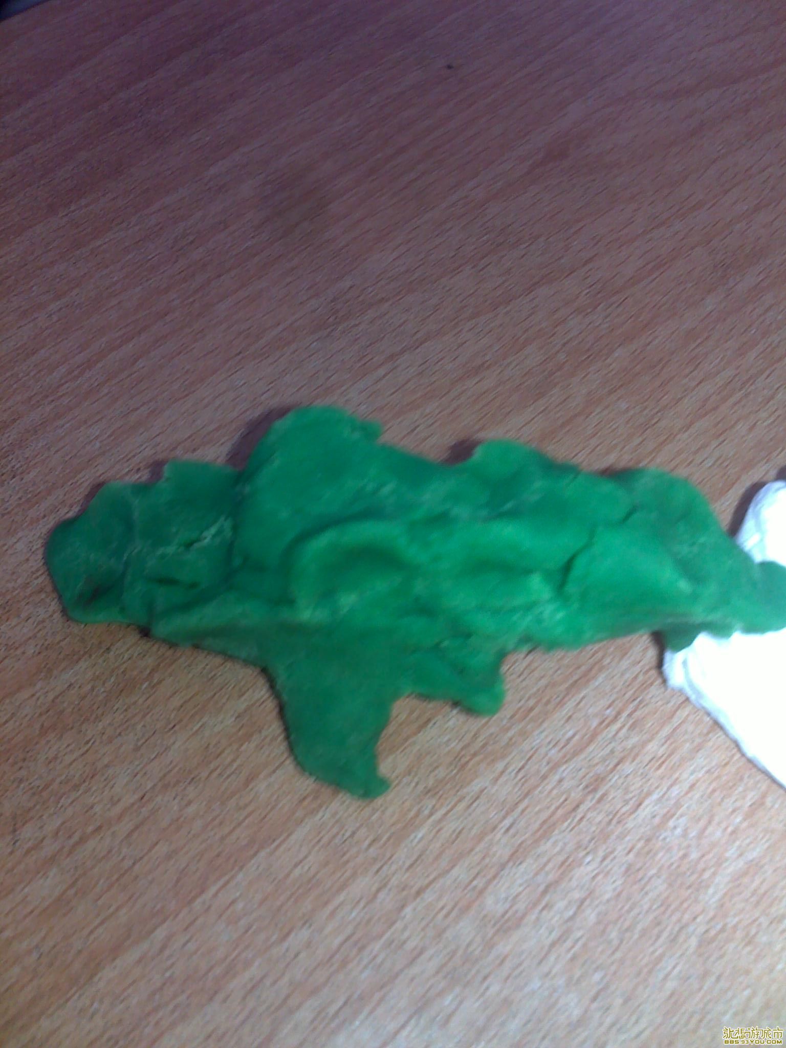  20110510892.jpg
