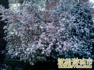Ƭ-0297.jpg